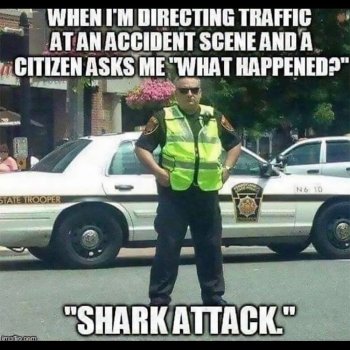 1783686756159.jpeg