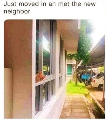 1783687163139.jpeg