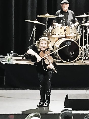 fiddle1.jpg fiddle1.jpg
