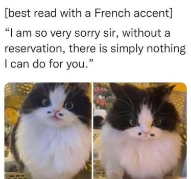 1783903059367.jpeg