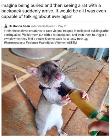 1783903746847.jpeg
