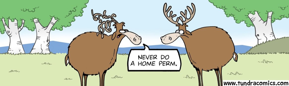 1784071584170.jpeg