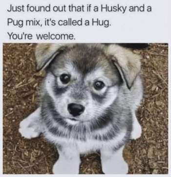 1784207924912.jpeg