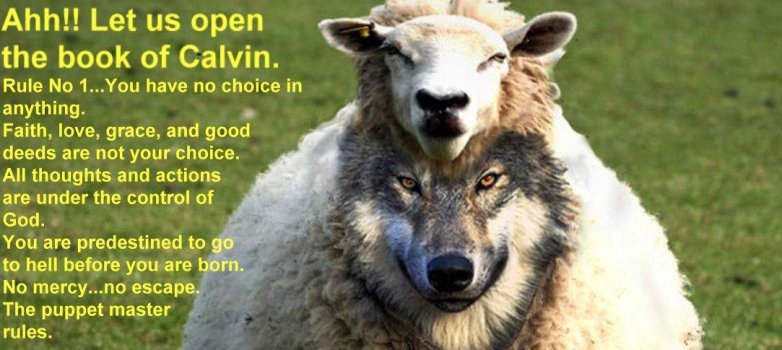 wolf-sheepbig4.JPG wolf-sheepbig4.JPG