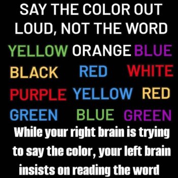 1784667785395.jpeg