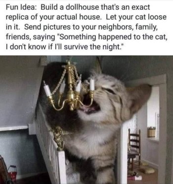 1784674468211.jpeg