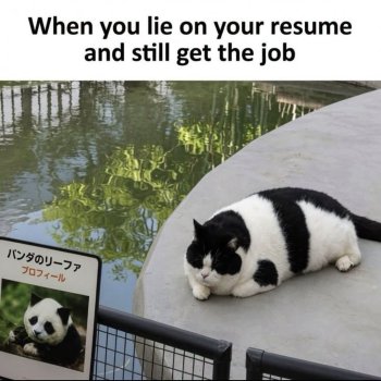 1784731987649.jpeg