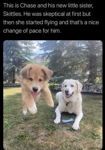 1784741347108.jpeg