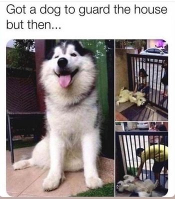 1784760093647.jpeg