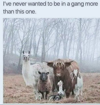 1784760326099.jpeg
