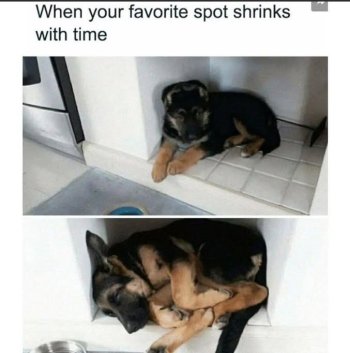 1784760447457.jpeg