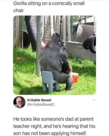 1784766223165.jpeg