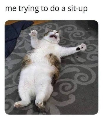 1784851832208.jpeg