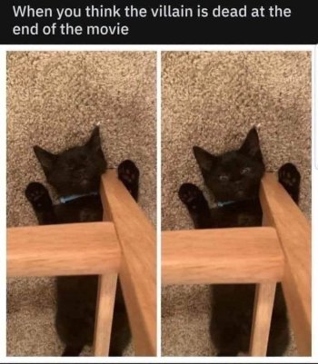 1784852090583.jpeg