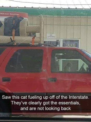 1784939545368.jpeg