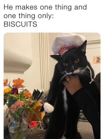 1784942766216.jpeg