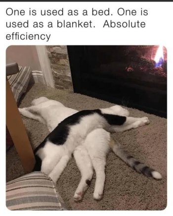 1784989603734.jpeg