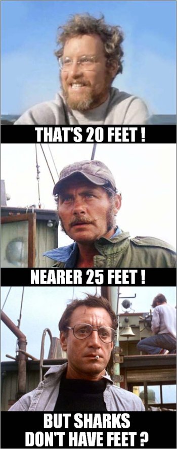 1785203720597.jpeg