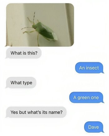 1785249407893.jpeg