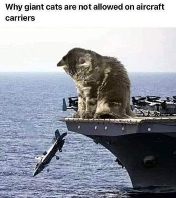 1785263525436.jpeg