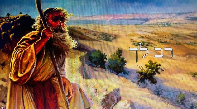 moshe.jpg