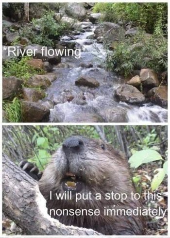 1785377513568.jpeg