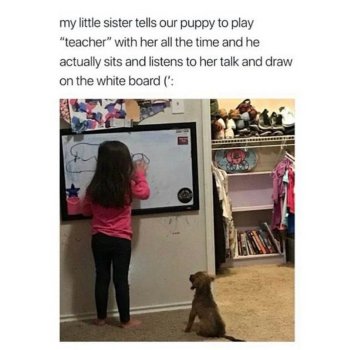 1785378807461.jpeg