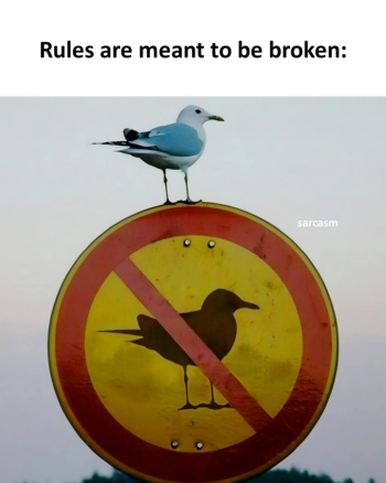 1785459440859.png