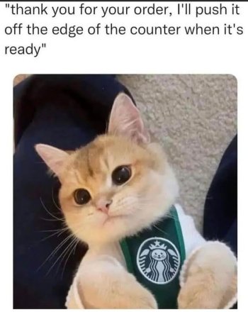 1785544618824.jpeg
