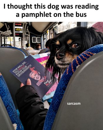 1785604741573.jpeg