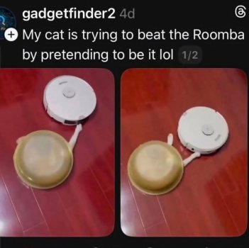 1785624290381.jpeg