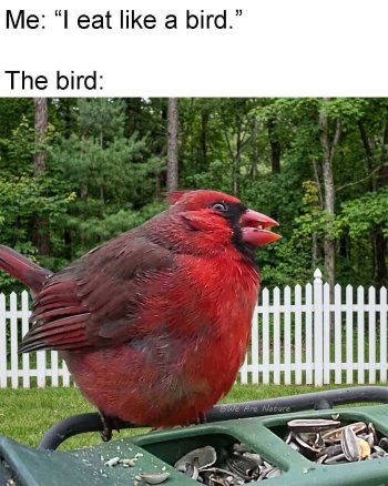 1785684656174.jpeg