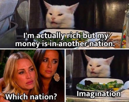 1785685939401.jpeg
