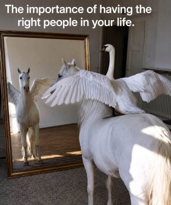 1785798308770.jpeg