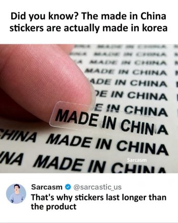 1785809342408.jpeg