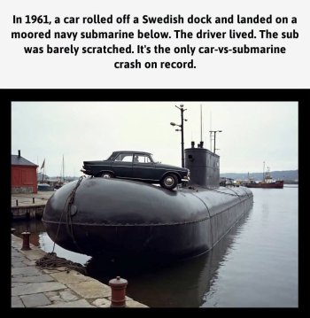 1785938768239.jpeg