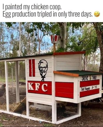 1785962581805.jpeg