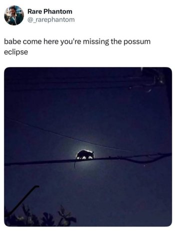 1785969434754.jpeg