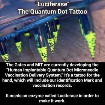 luciferase-quantum-dot-tattoo.jpg luciferase-quantum-dot-tattoo.jpg