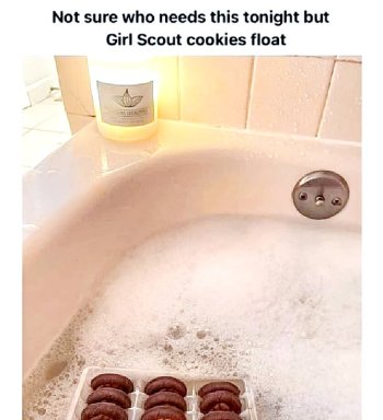 1786034064209.jpeg
