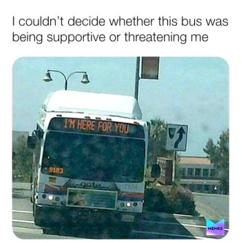 1786052159342.jpeg
