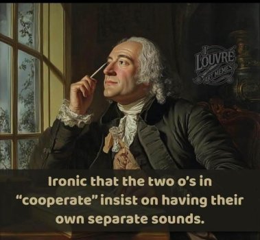 1786136382347.jpeg