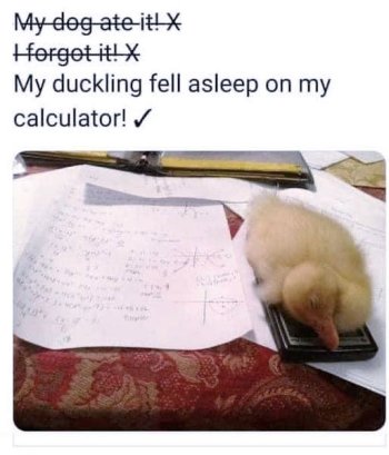 1786137309668.jpeg