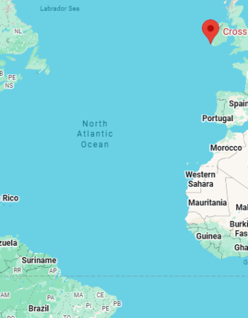 1786150908061.png