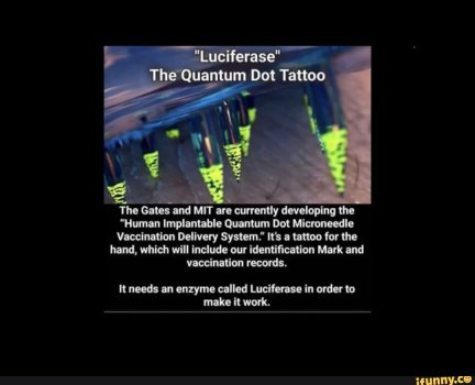 quantim dot.jpg