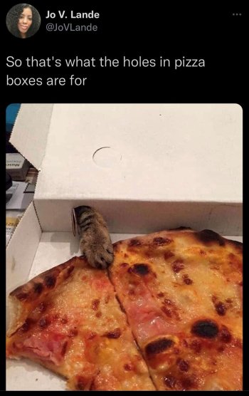 1786258267097.jpeg