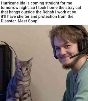 1786258428571.jpeg