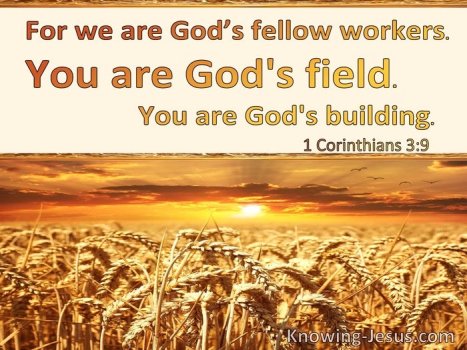 PURPOSE TO CREATE WITH GOD