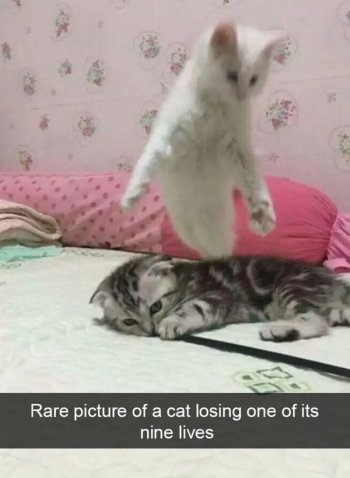 1786433286781.jpeg