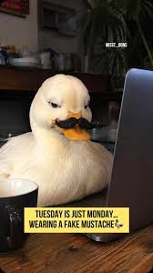 1786496683451.jpeg